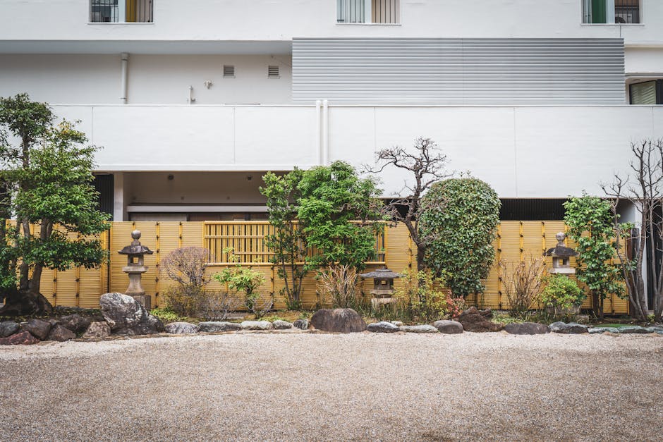 Serene Japanese courtyard with greenery and stone lanterns in Tokyo, Japan.